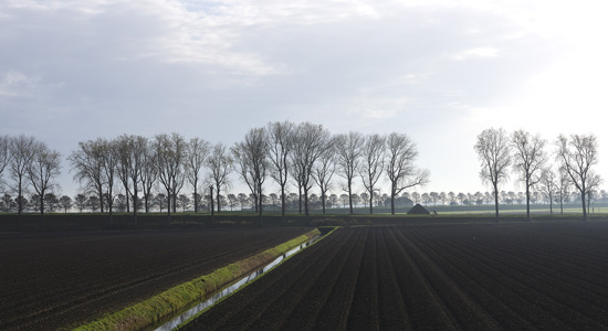 Schermer Polder in Autumn