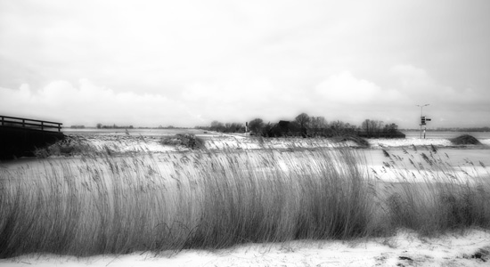 Schermer Polder Snow Landscape - Black and White